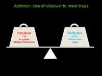 Addiction = loss of willpower to resist drugs