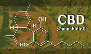 Chemical structure of Cannabidiol over marijuana leaf background
