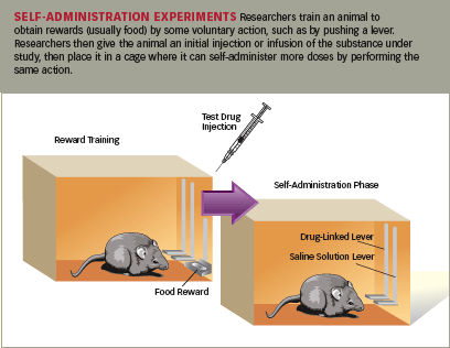 Self-Administrated Experiments - Graphic