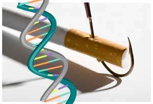 Illustration of a cigaretter with a hook in it and a DNA molecule superimposed