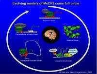 Evolving models of MeCP2