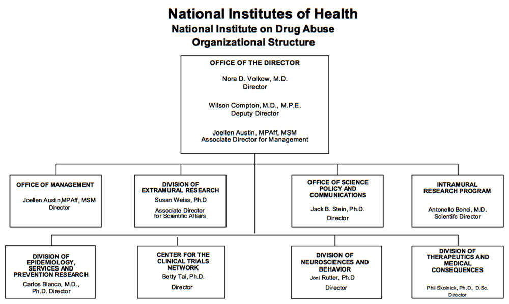 2016 Organizational Structure