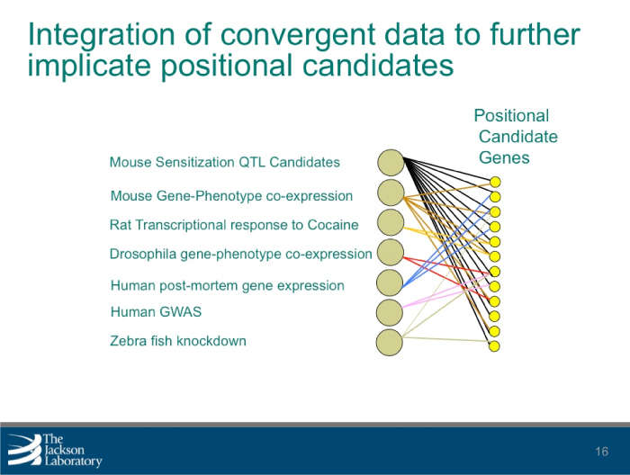 Integration of convergent data