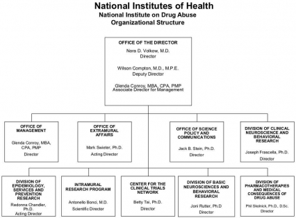 2015 Organizational Structure
