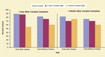 bar graph showing persistent attention deficits in extended cocaine use rats