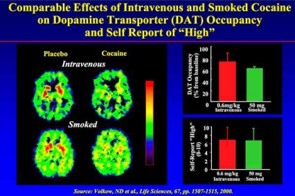 Comparable Effects of Intravenous and Smoked Cocaine on Dopamine Transporter (DAT) Occupancy and Self Report of "High" - PET scans