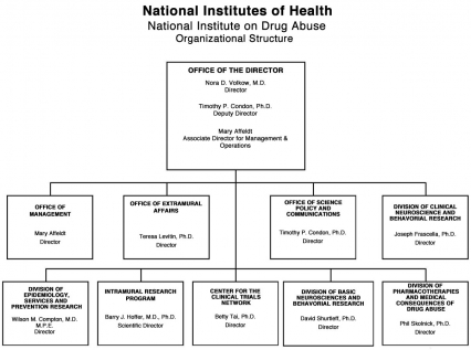 2011 Organizational Structure