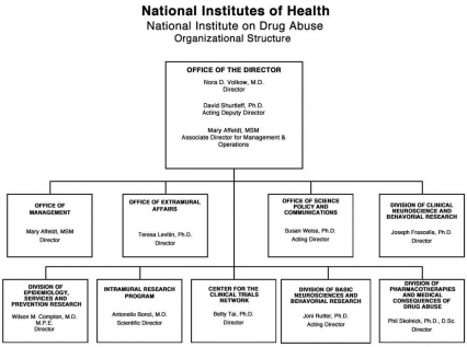 Organization Chart for NIDA, link below graphic for description