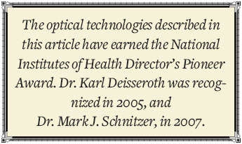 The optical technologies described in this article have earned the National Institutes of Health Director's Pioneer Award.  Dr. Karl Deisserothe was recognized in 2005, and Dr. Mark J. Schnitzer, in 2007