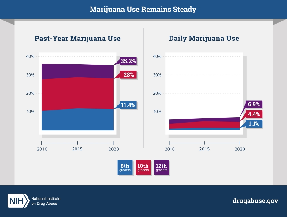 Marijuana use remains steady