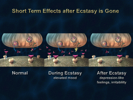 Short-term effects after ecstasy is gone from the body