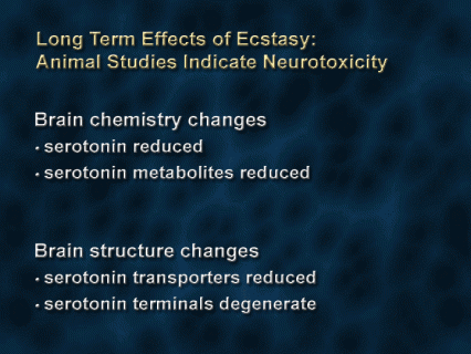 Long-term effects of ecstasy: neurotoxic?