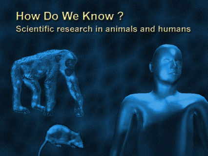 How do we know? Research in animals and humans