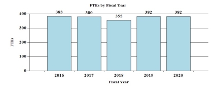 FTEs by Fiscal Year: 2016 383, 2017 380, 2018 355, 2019 382, 2020 382