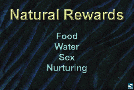 Natural rewards: food, water, sex, nurturing