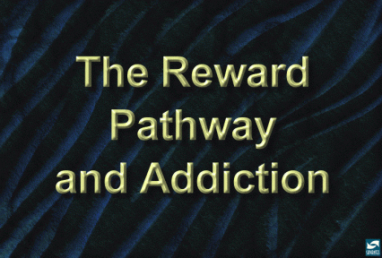The reward pathway and addiction.
