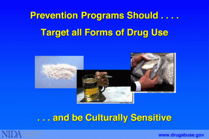 Prevention programs should target all forms of drug use and be culturally sensitive