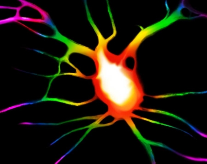 Ilustración de neurona