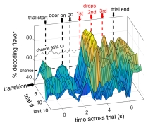 The height shows how much information about the reward flavor is held by a group of dopamine neurons after flavors change, across subsequent trials (forward dimension) and across the time of the trial (horizontal.)
