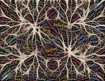 Graphical representation of the brains neurons and emotions they might transmit