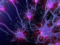 Active Neuron Cells