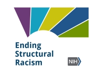 Ending structural racism logo