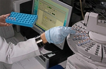 IRP scientists working with computer and samples