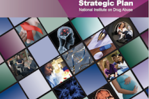 Strategic Plan 2010 Cover