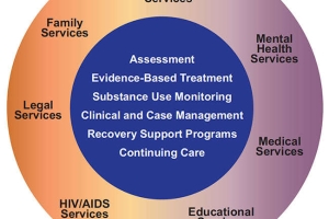 Components of Comprehensive Drug Abuse Treatment. The best treatment programs provide a combination of therapies and other services to meet the needs of the individual patient.