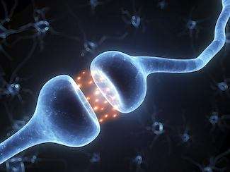 Illustration of a brain synapse showing flow of chemical between neurons