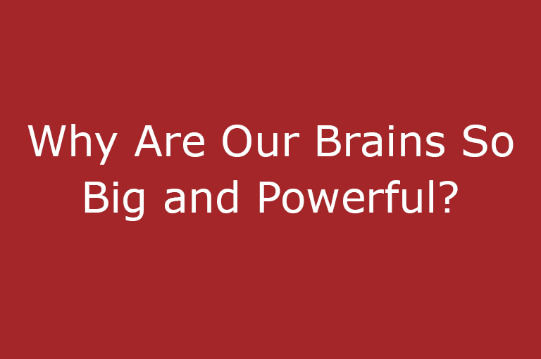 Why Are Our Brains So Big and Powerful?